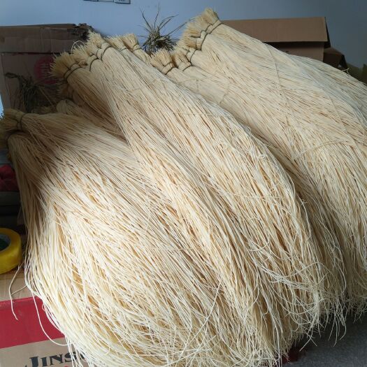 抚州灯芯草 灯蕊草零售批发灯蕊草各种包装产品