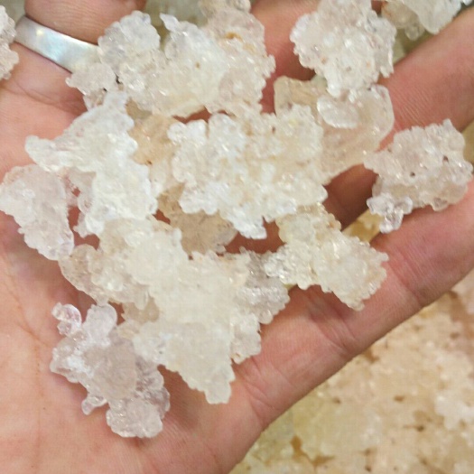 广州食用桃胶 24个月以上