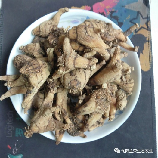 旬阳市白及