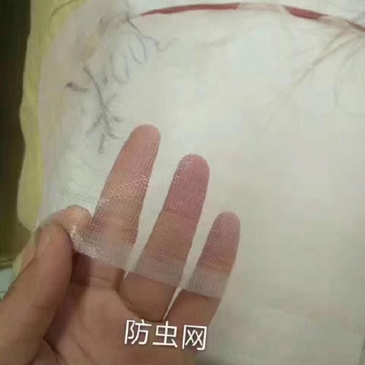 泊头市 40目加厚防虫网