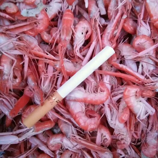 滨州干红虾