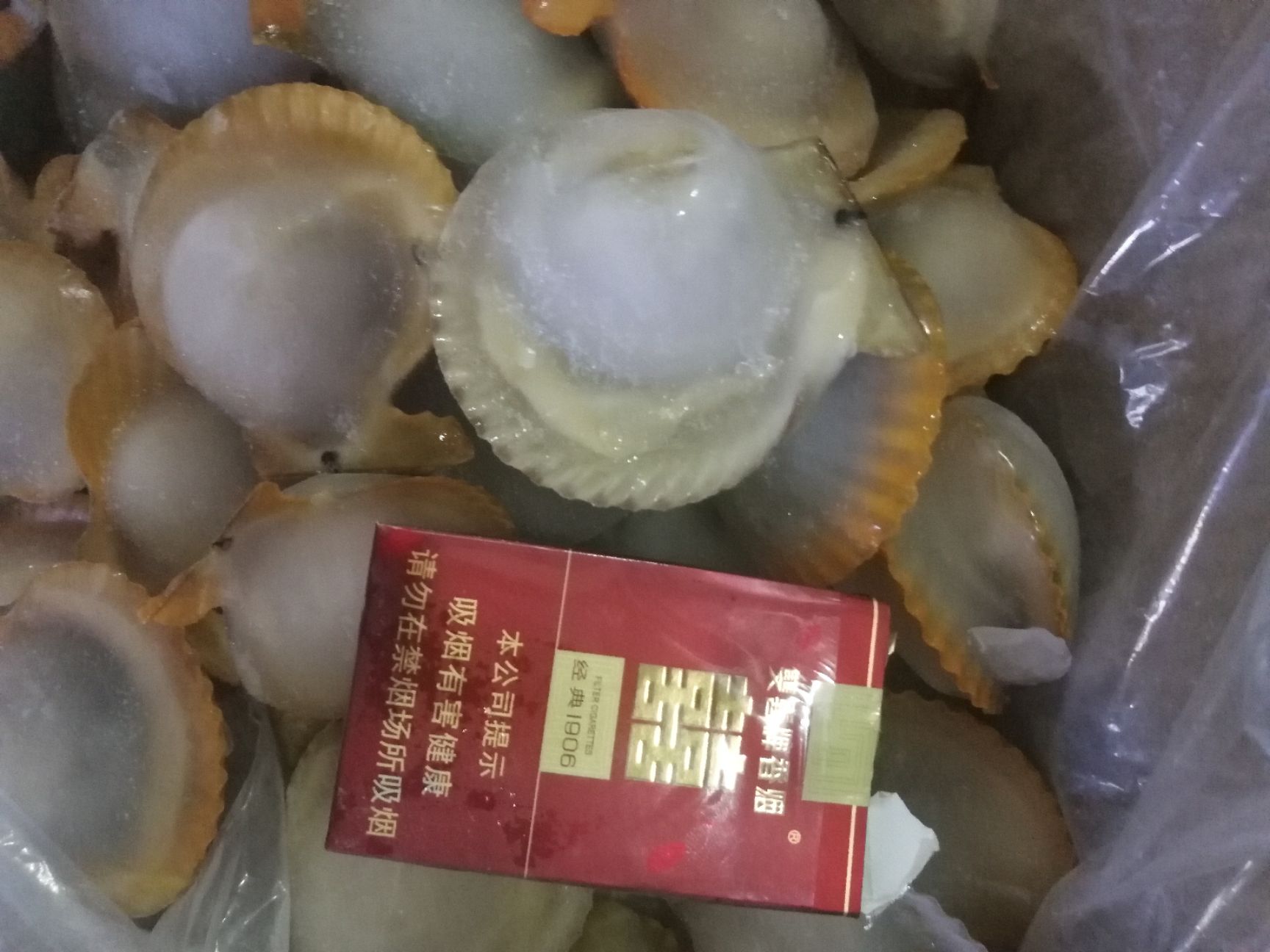 廣州黃金貝