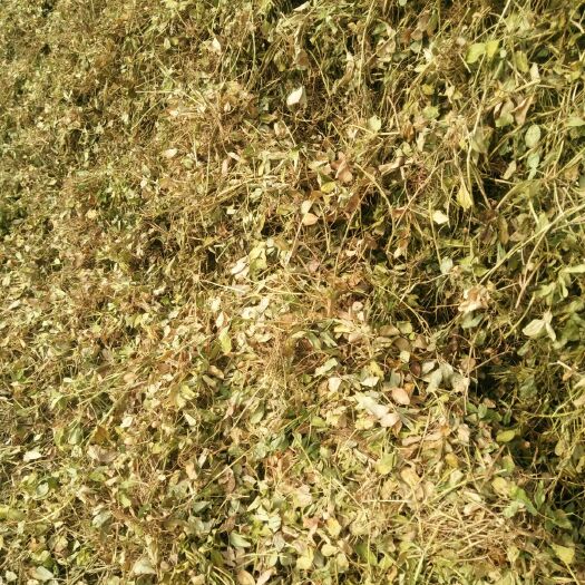 枣阳市花生秧草料，过滚桶筛，两次除尘
