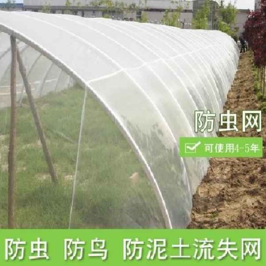 淮安 防虫网 全新料 防老化