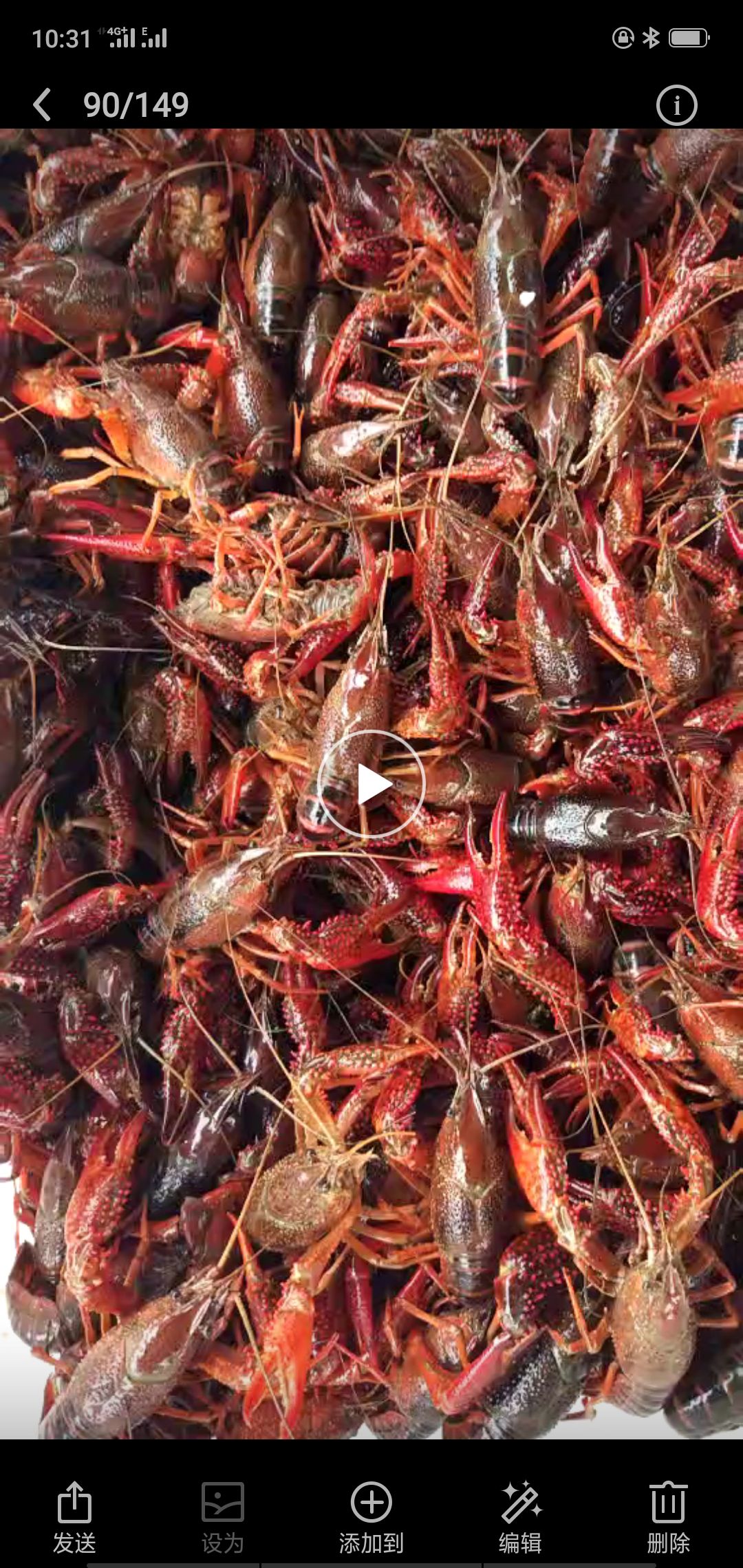 克氏原螯虾-鄱阳湖水产品-图片