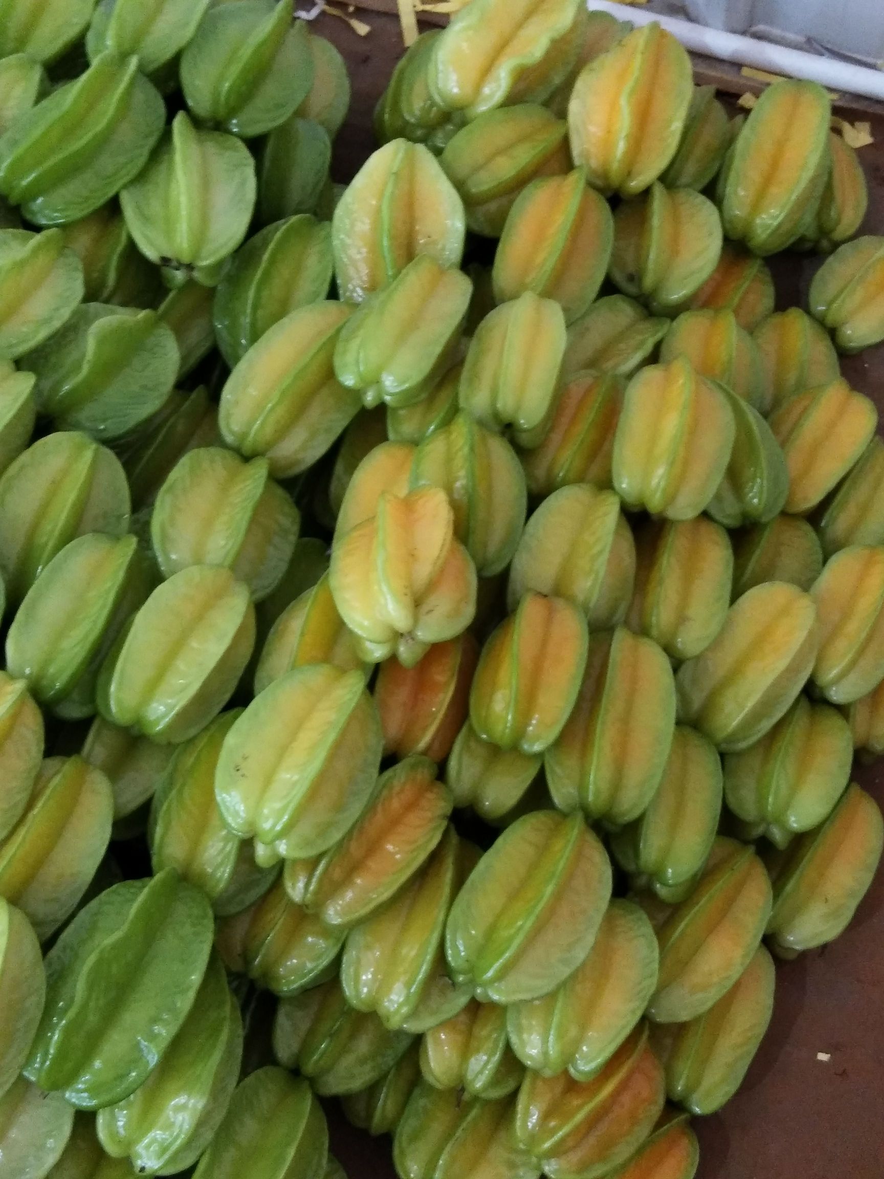 红杨桃 五斤包邮