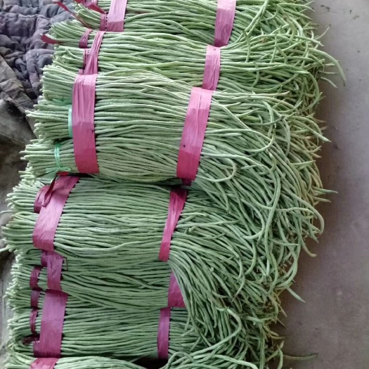 长豇豆 40cm~70cm