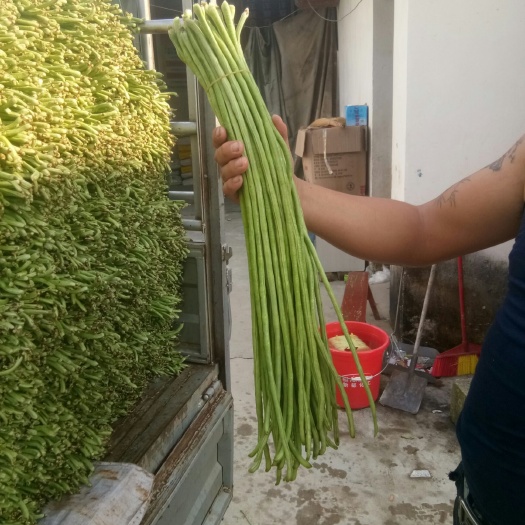 建水县长豇豆 品质非常好，看上的快下手