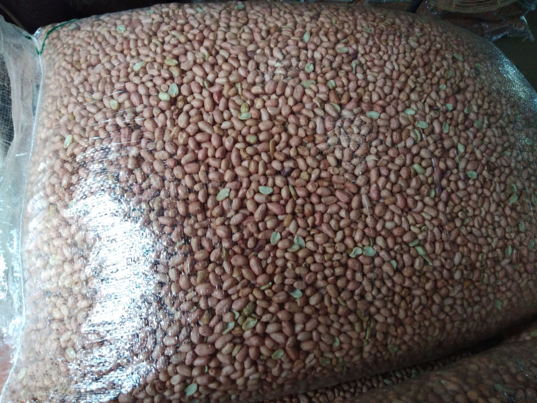  花生米285白沙系列   通货