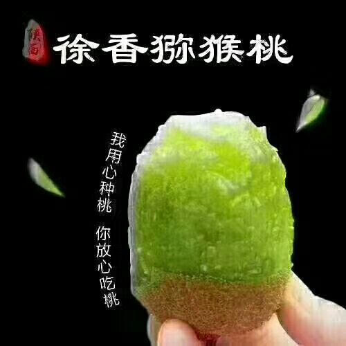 眉县徐香猕猴桃  眉县猕猴桃，酸甜刚刚好。多可以优惠哦
