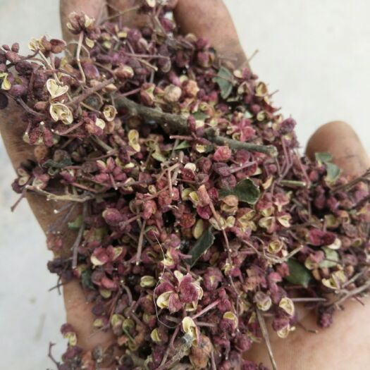 积石山县临夏花椒 干花椒 三级