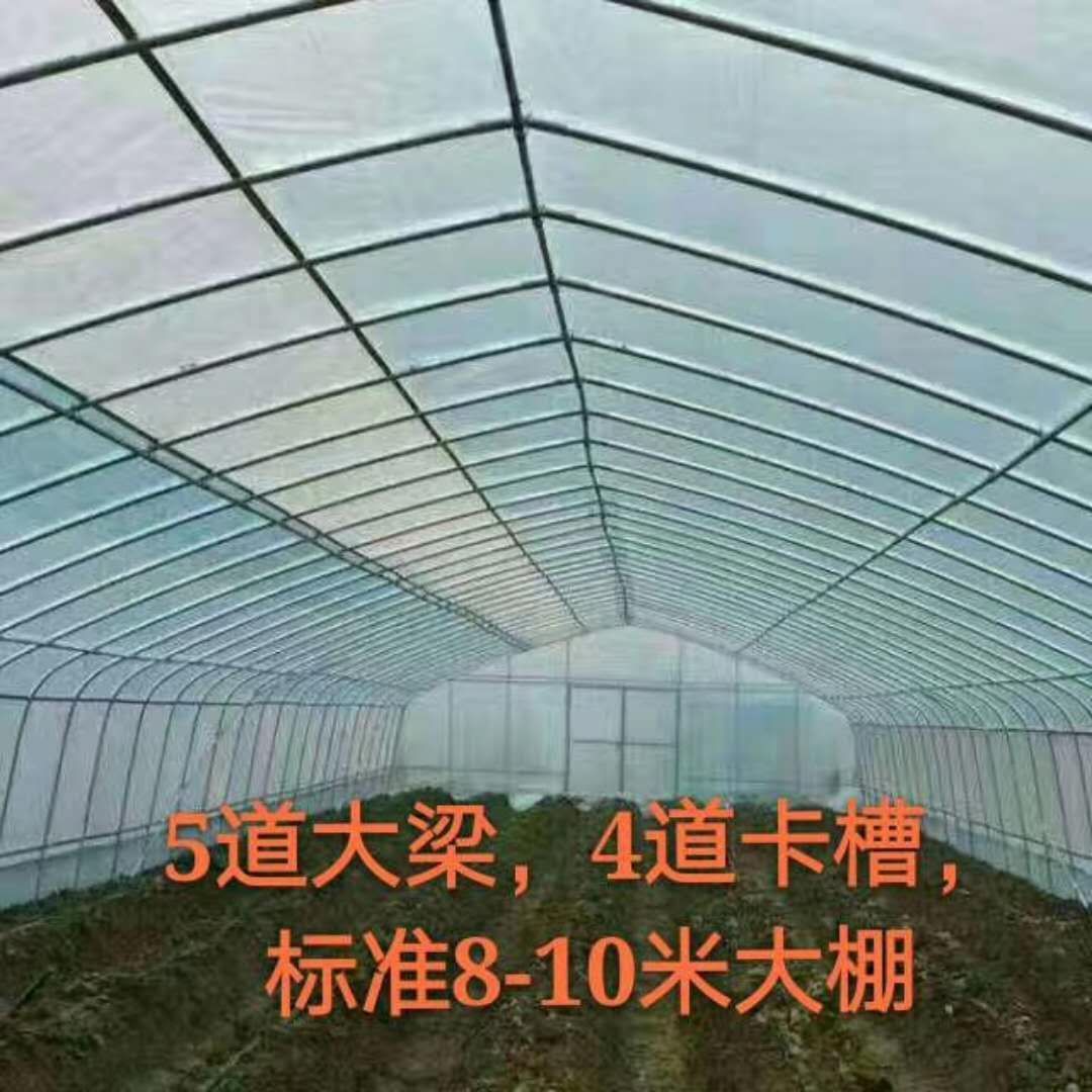 钢管大棚