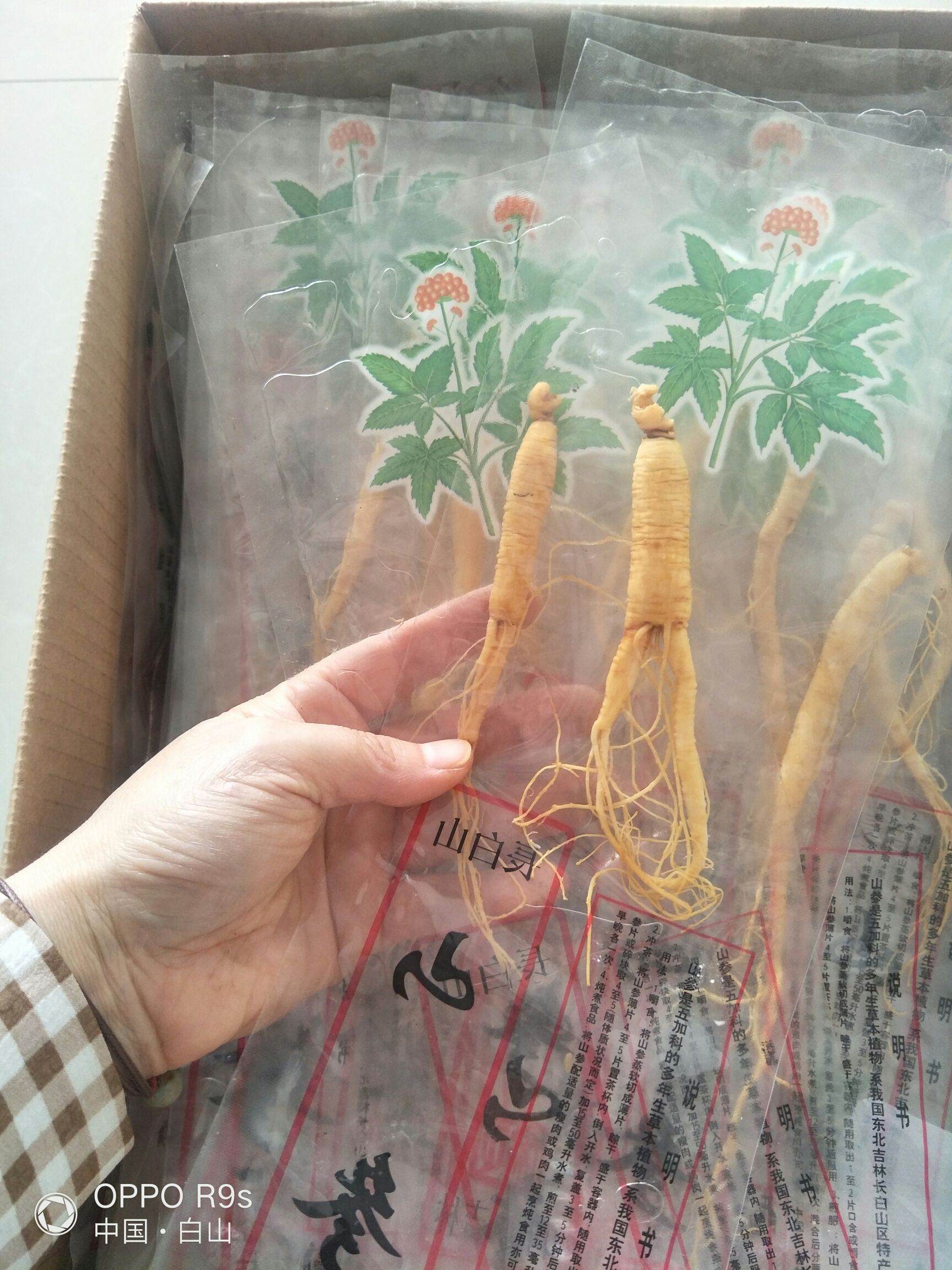 林下参  正宗长白山鲜参保鲜参林下人参