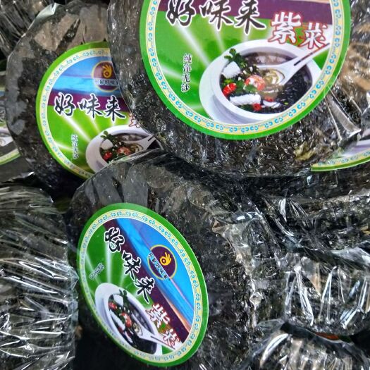 北京坛紫菜 人工养殖