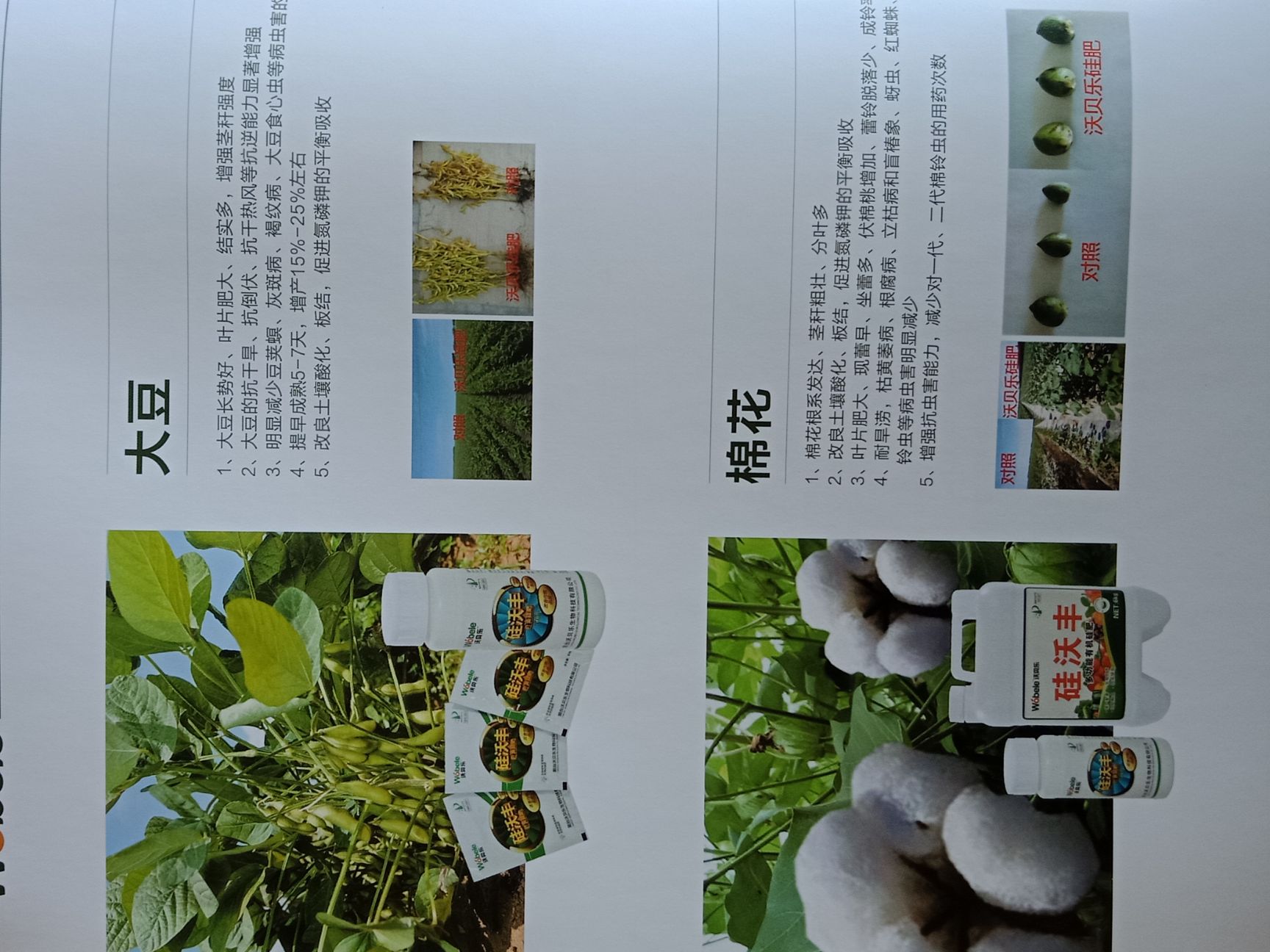 硅肥