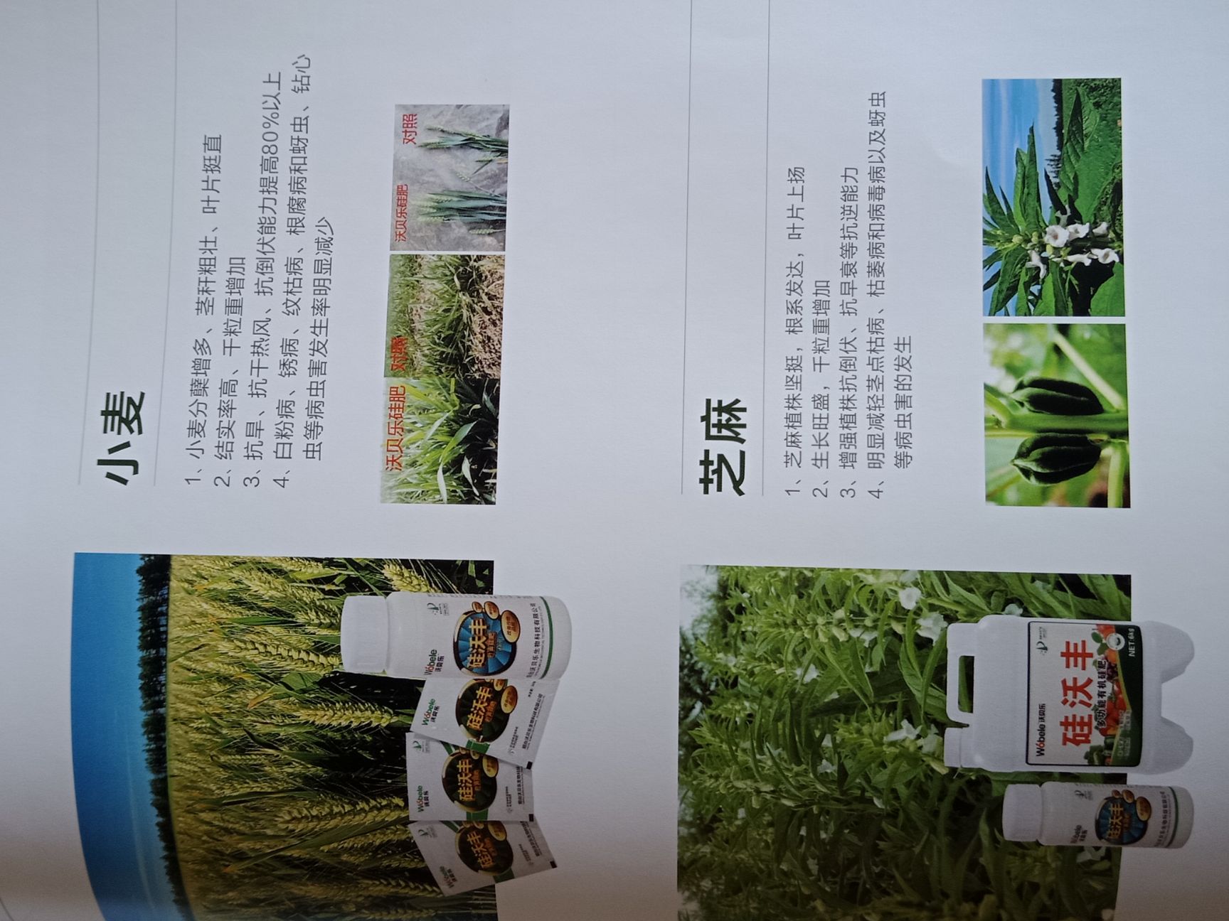 硅肥