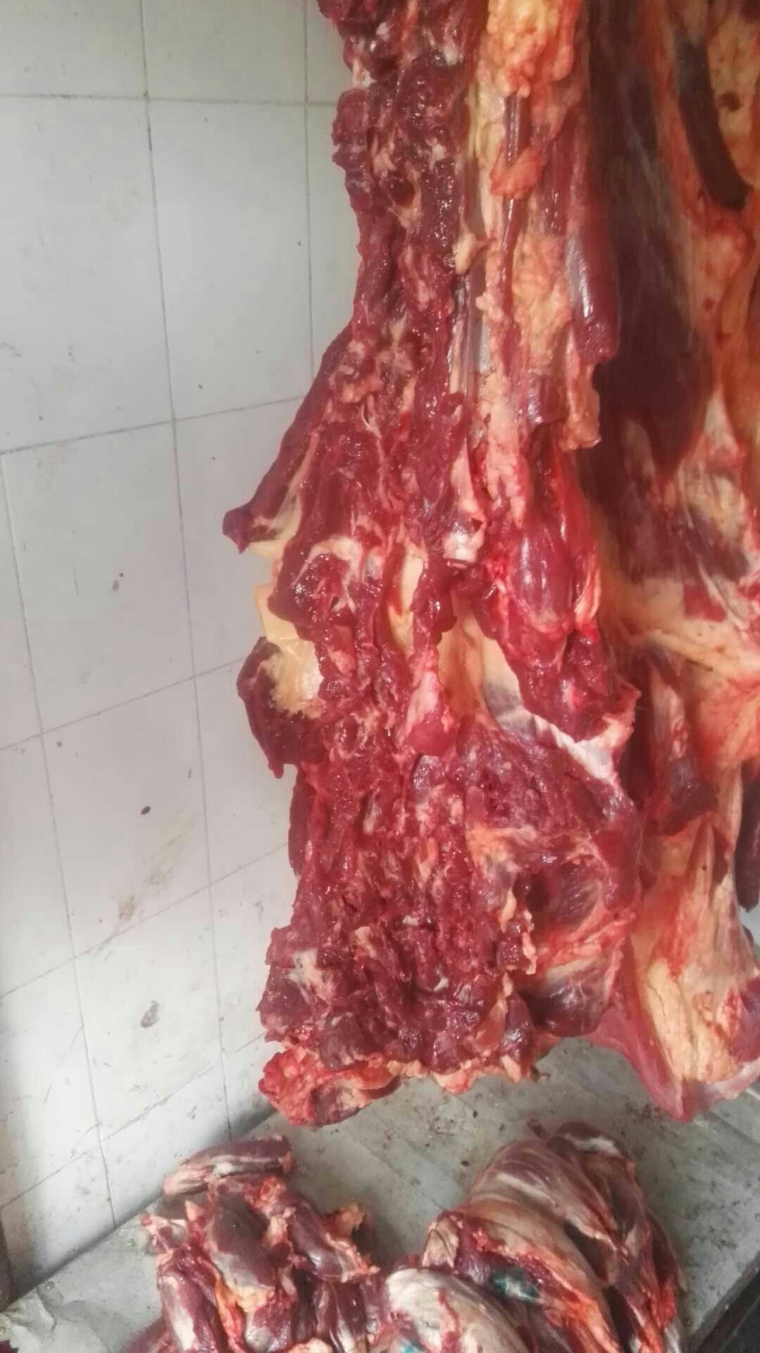 藏族牦牛肉 生肉 