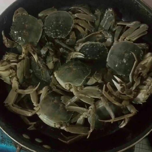 连云港阳澄湖镇大闸蟹 2.0-2.5两 统货 