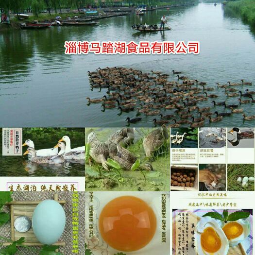 桓台县马踏湖咸鸭蛋 箱装