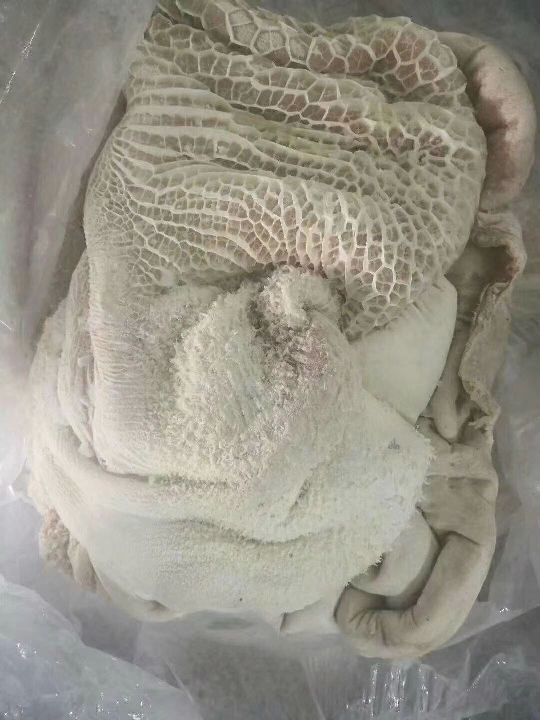 牛肚  黄，源头厂家直销国产牛大肚。各种熟度可定制