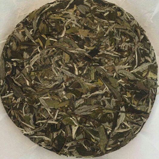 福鼎市 福鼎白茶
