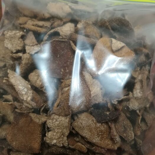 新兴县凉果 24个月以上 