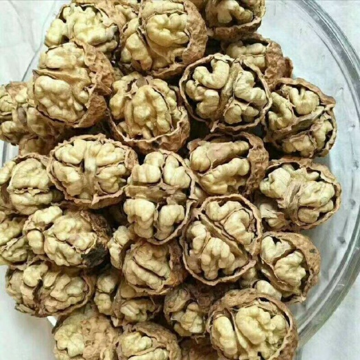 沧县云南核桃