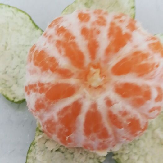 枝江市蜜桔  特早蜜橘，