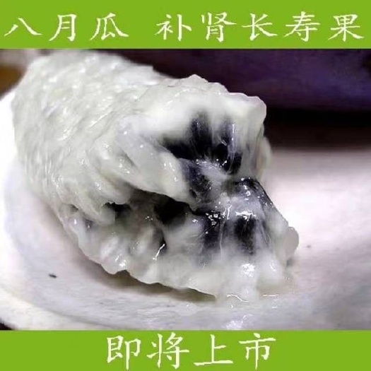 纳雍县八月瓜苗