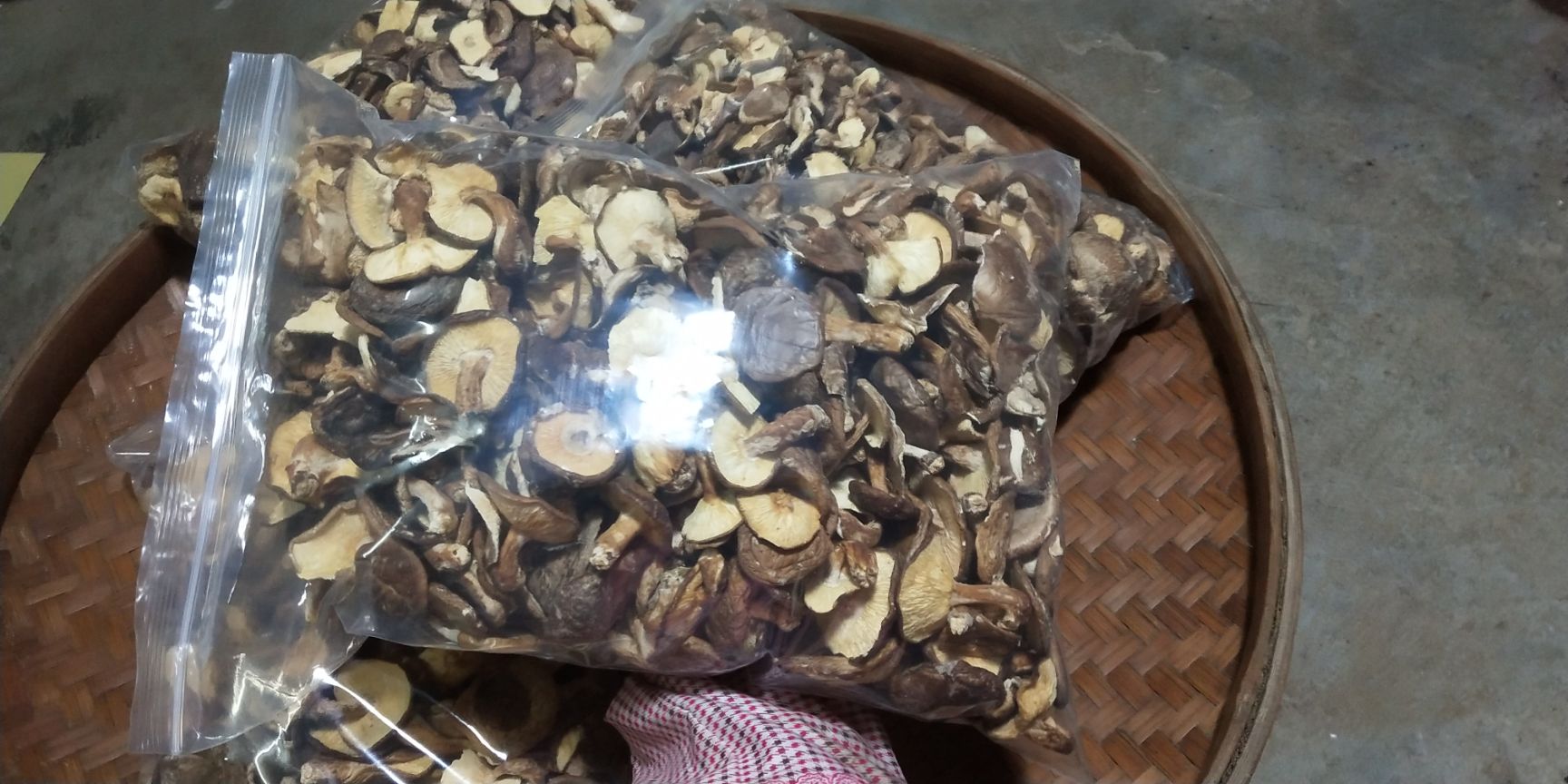 香菇半野生香菇