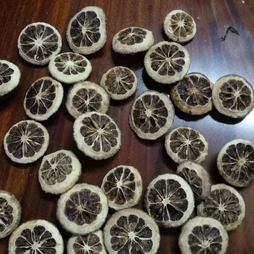 沅江市枳壳苗  枳壳药材嫁接苗