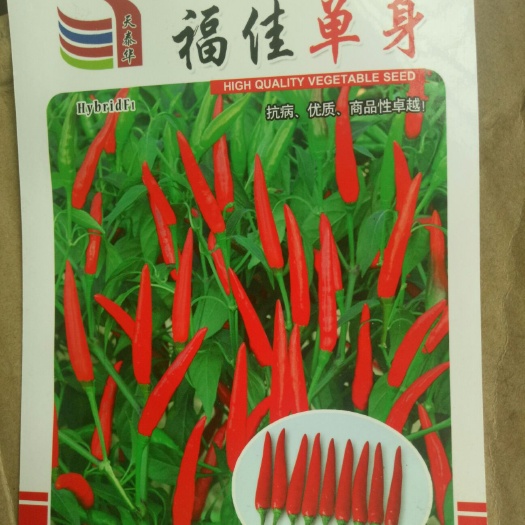 新田县朝天椒种子 95%以上 杂交种