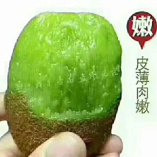 长沙县徐香猕猴桃 100~120克 
