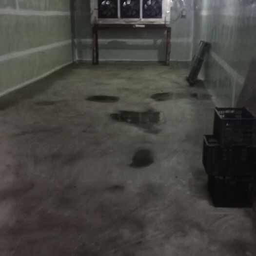 广州保鲜库租赁 