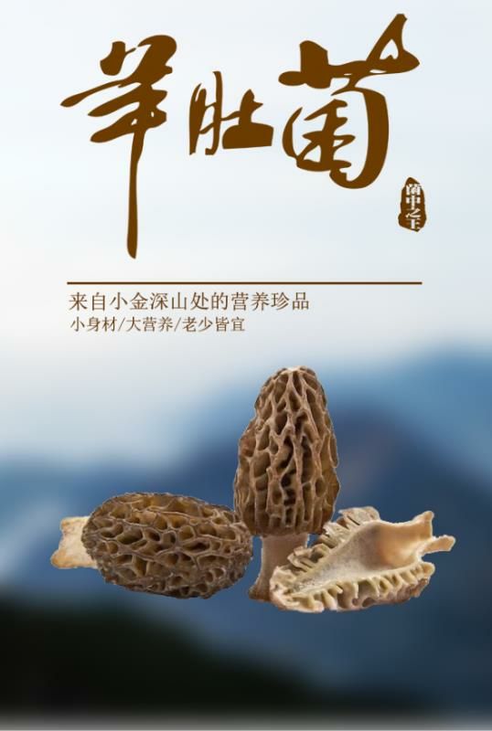 干羊肚菌 袋装 1年 