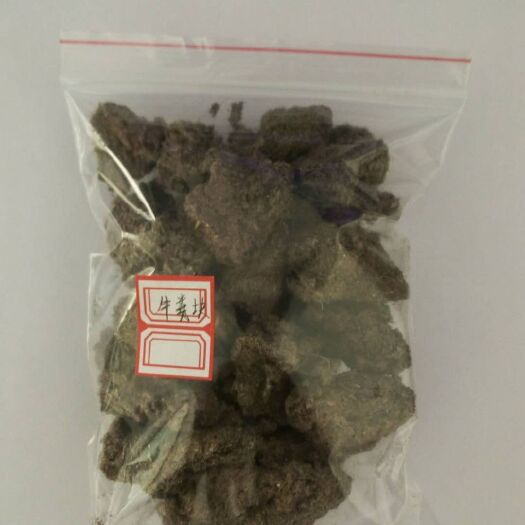 正定县牛粪 