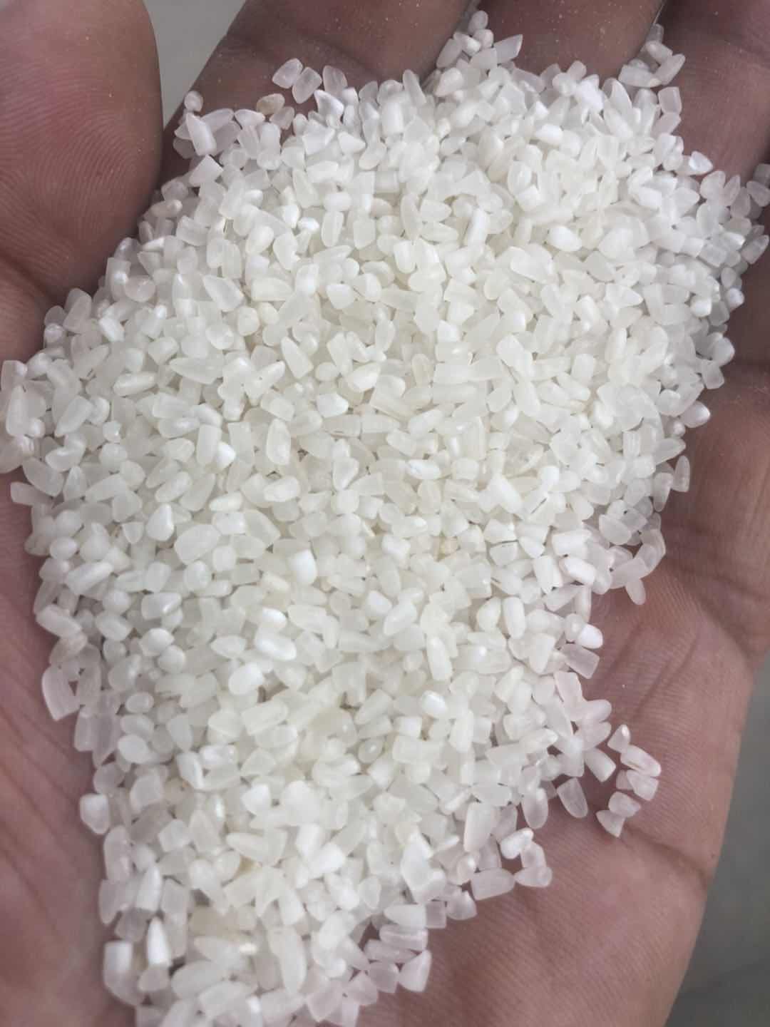 长粒香 一等品 中稻 籼米