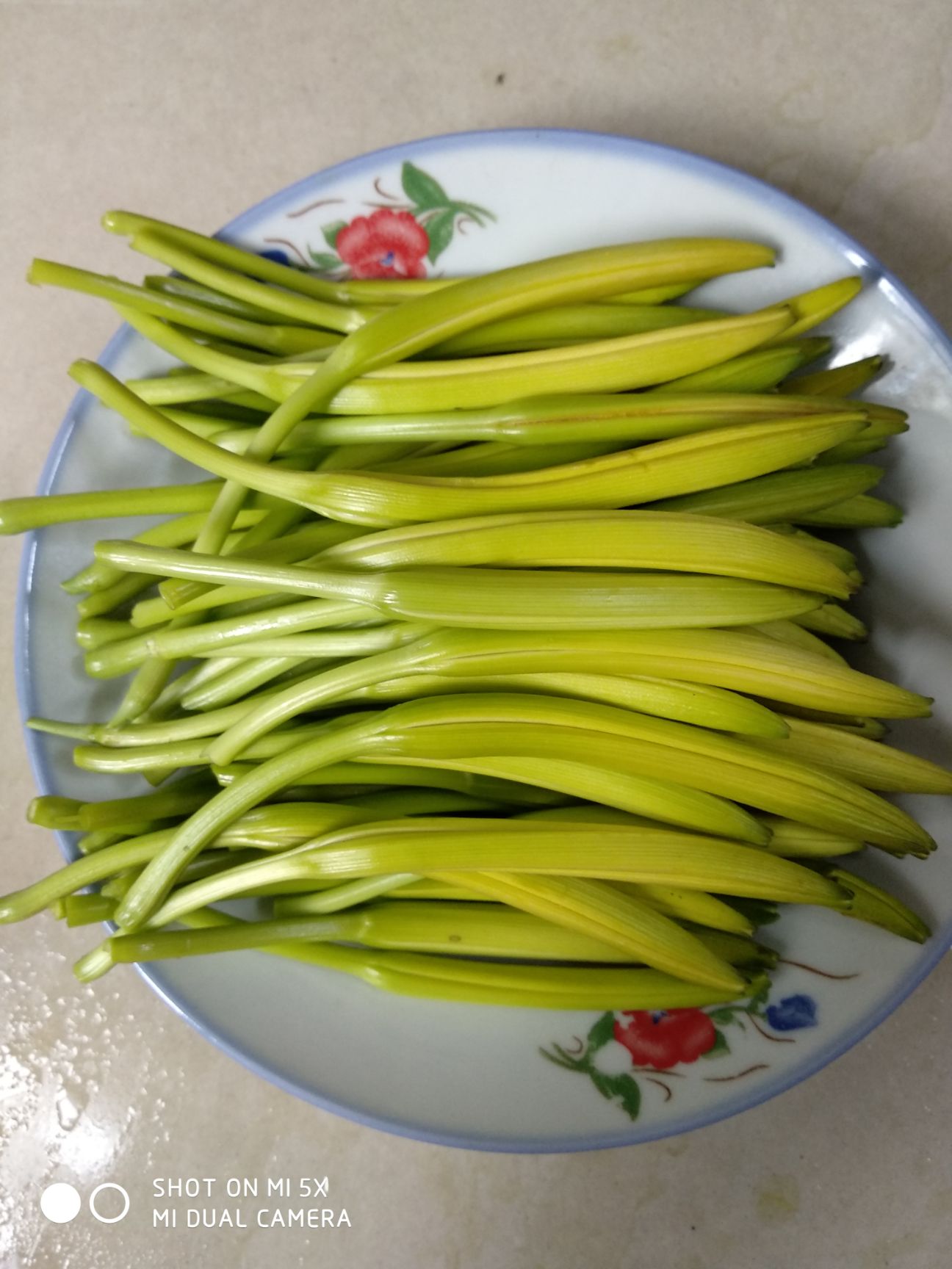 黄花菜干 12-18个月