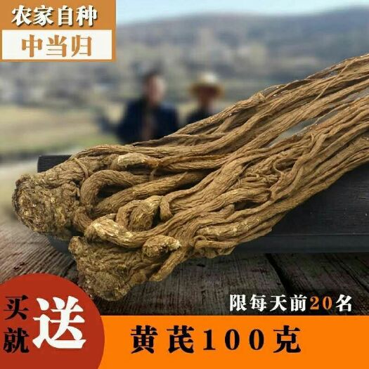 渭源县岷当归