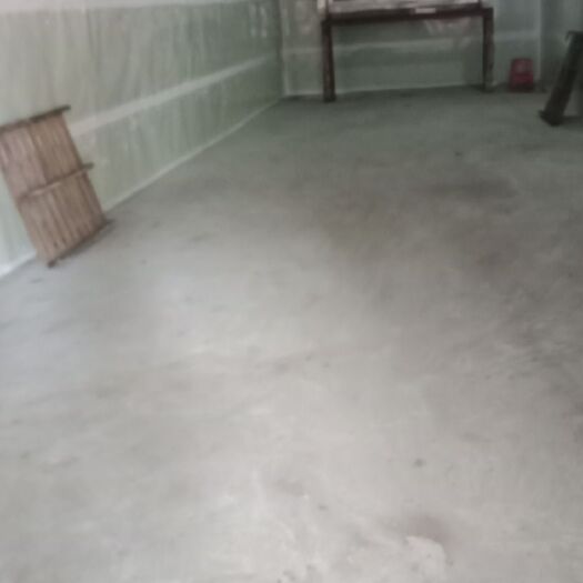 广州冷冻库租赁