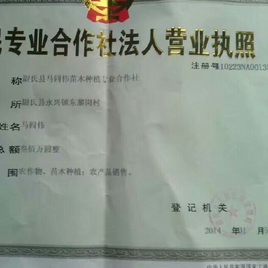 108杨 