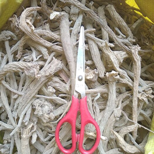 石阡县贵州非种植无硫中药材续断干货川断干品产地直销一手货源无杂质