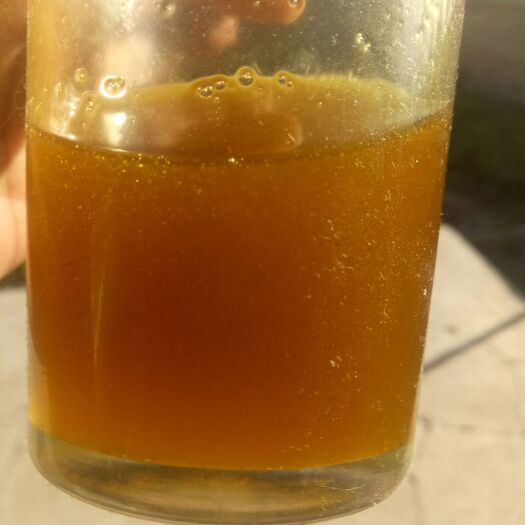 昭苏县油菜籽
