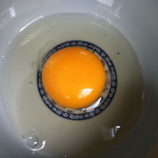 苍溪县土鸡蛋 食用 简包装 
