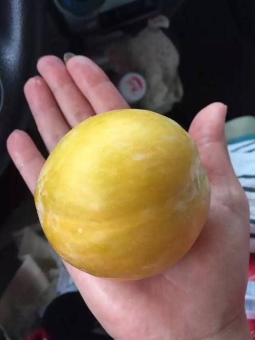 绛县黄金奈李苗 