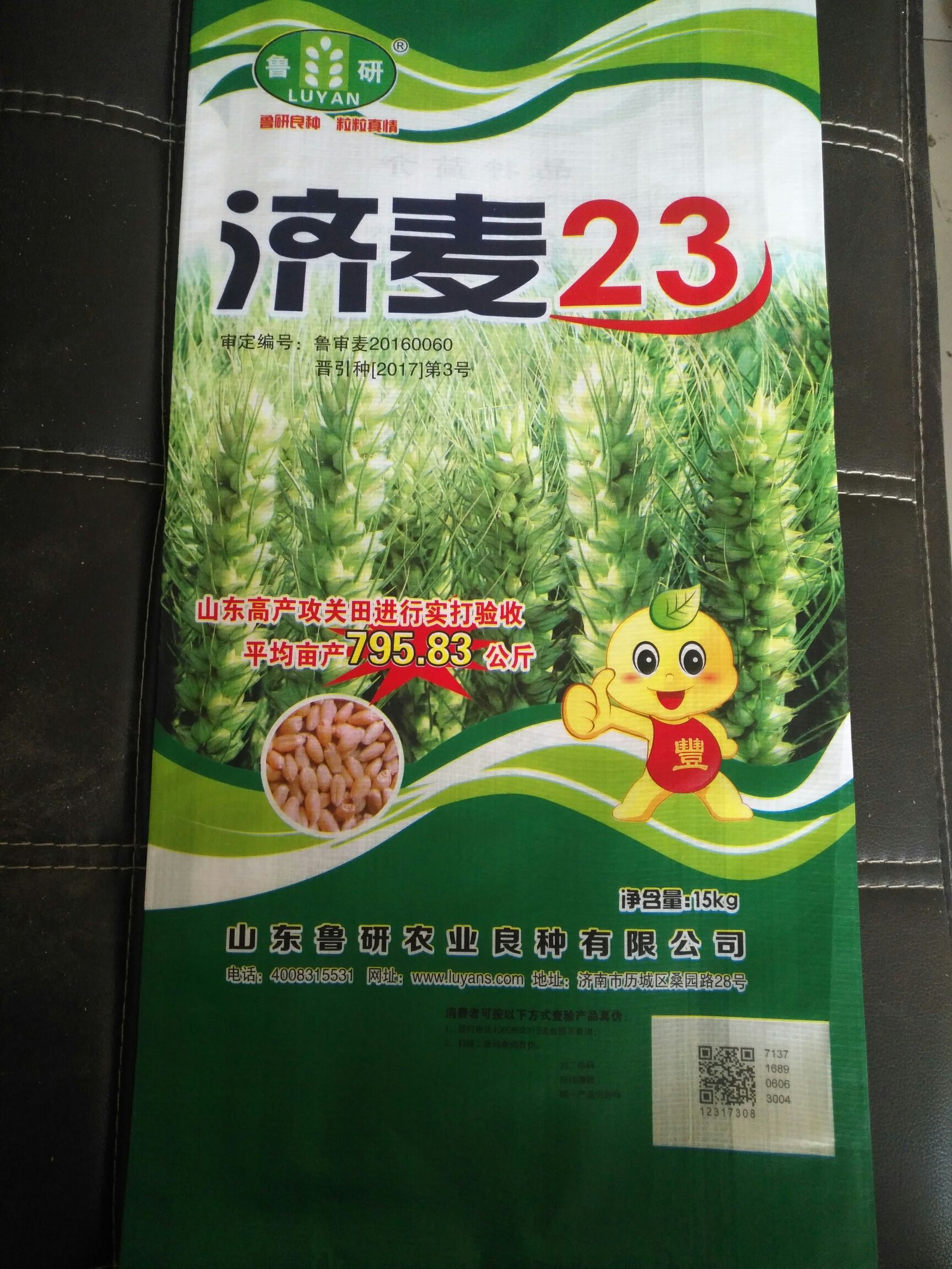 小麦种子  高产，抗病，抗倒伏，优质小麦种