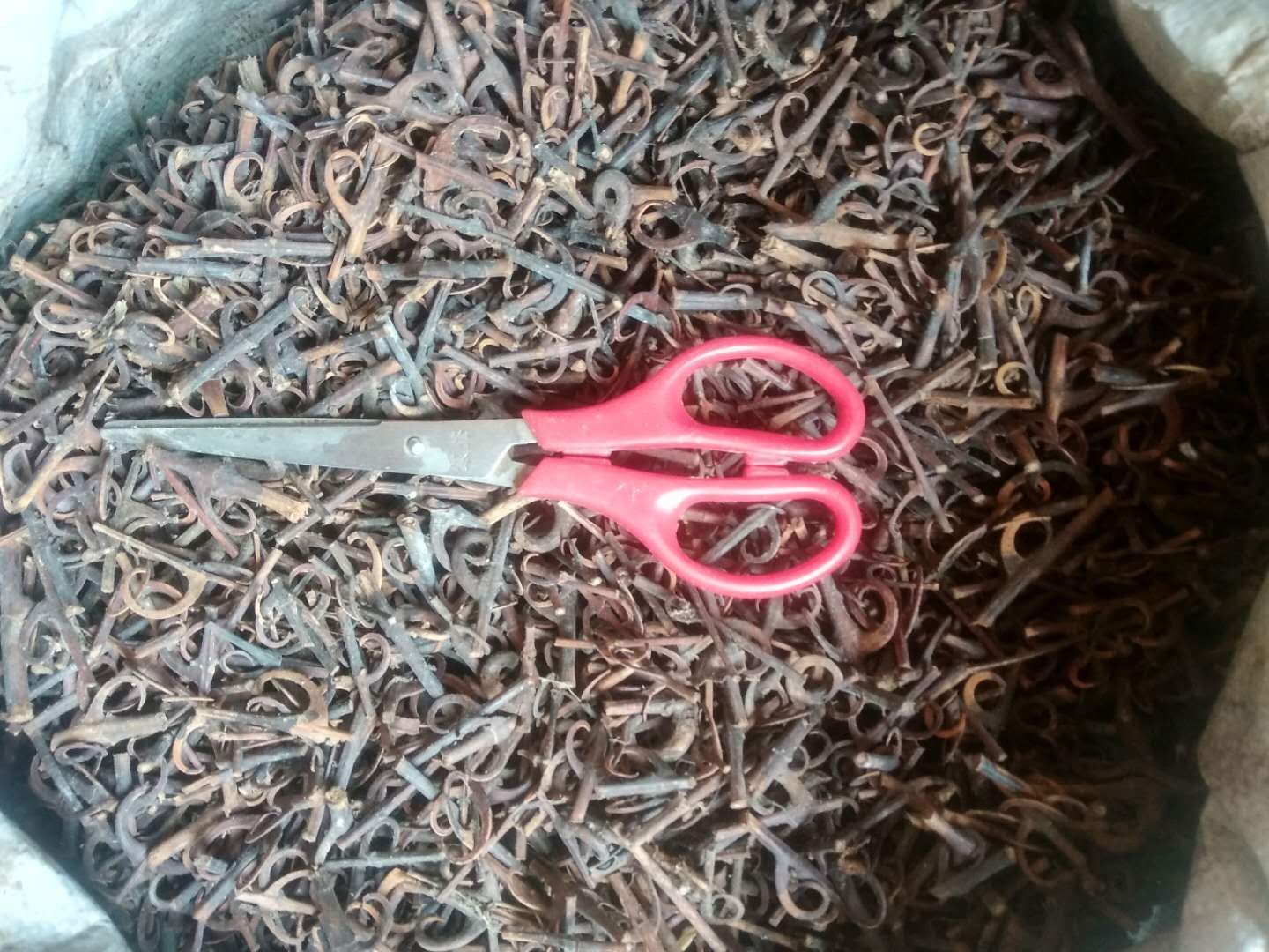 贵州铜仁非种植藤木类中药材无硫钩藤干货煮水搽脚治抽筋产地直发