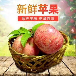 淳化县红富士苹果 纸+膜袋 条红 80mm以上 