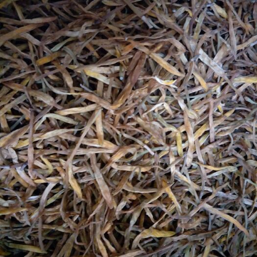 睢宁县大荔黄花菜 散装 一级