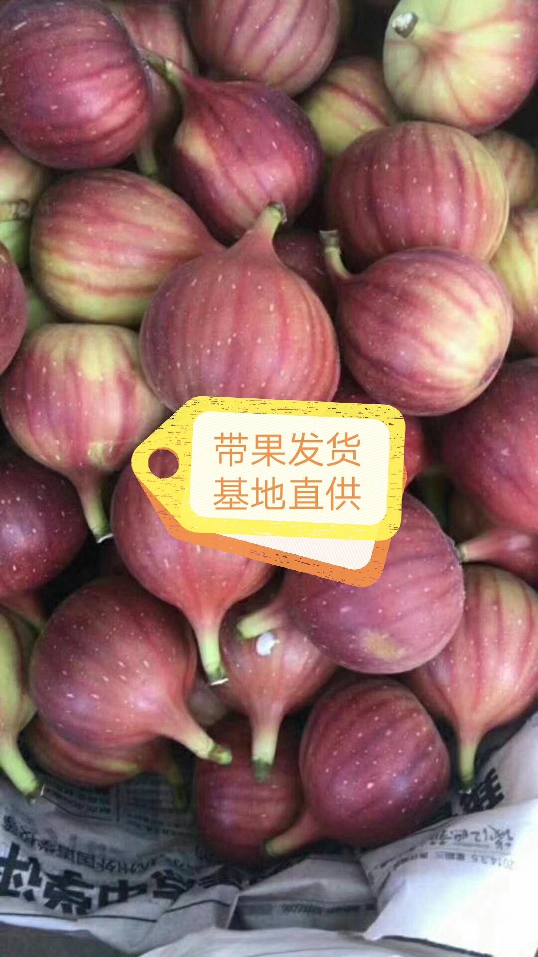 ƽز޻  죬ϻѡϵã޲溦